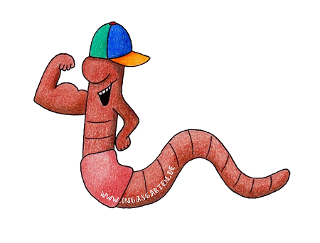 Aufkleber Rocky Regenwurm